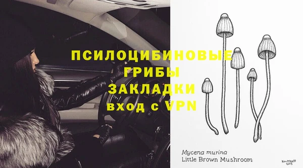 гидропоника Зерноград