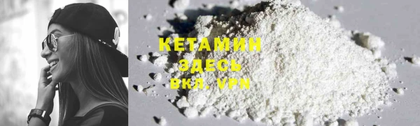 стафф Заводоуковск