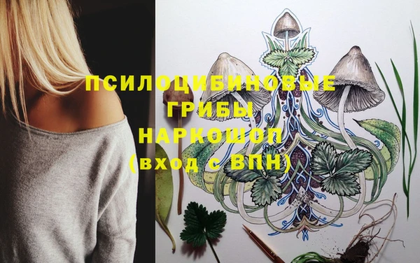 ALPHA PVP Зеленодольск