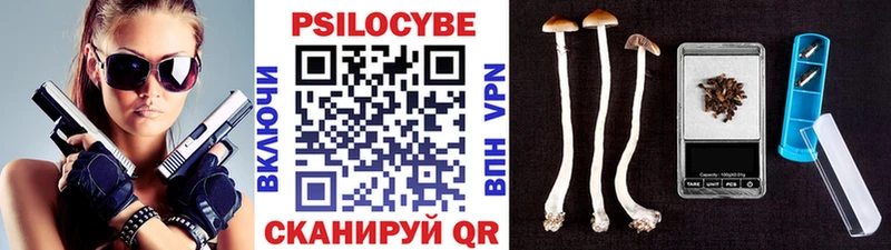 Галлюциногенные грибы Psilocybe  Купить где  Гремячинск 
